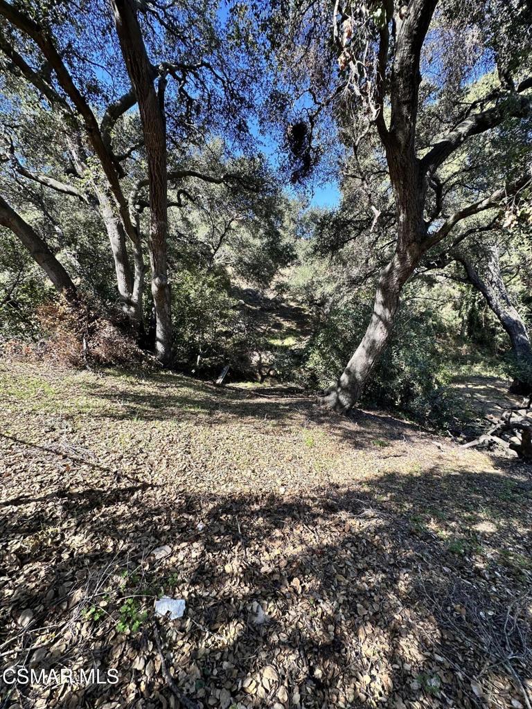 Rudolph Drive Property Photo 16