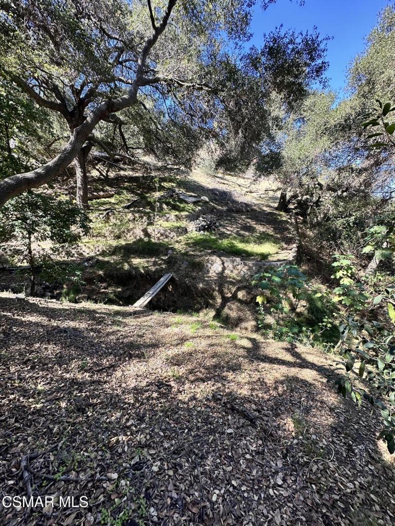 Rudolph Drive Property Photo 17