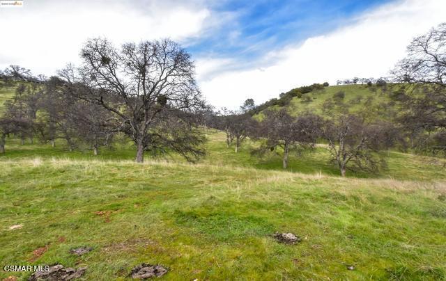 13300 Lone Bend Road Property Photo 43