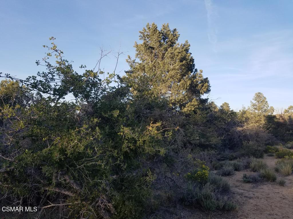 Off Big Pines Hwy. Road Property Photo 6