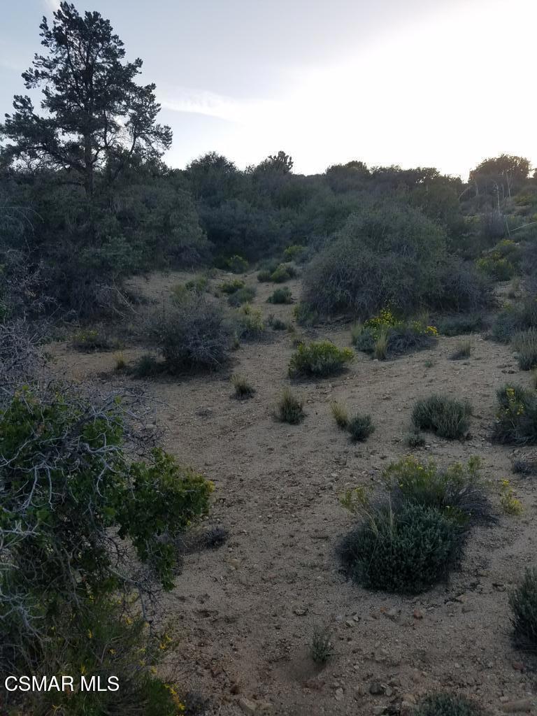 Off Big Pines Hwy. Road Property Photo 9