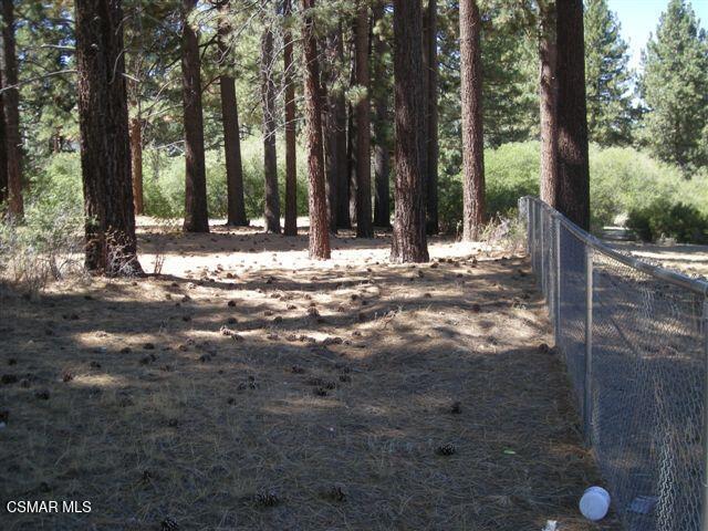 776 Knickerbocker Road Property Photo 5