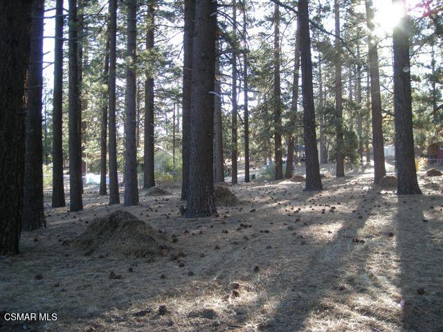 776 Knickerbocker Road Property Photo 12