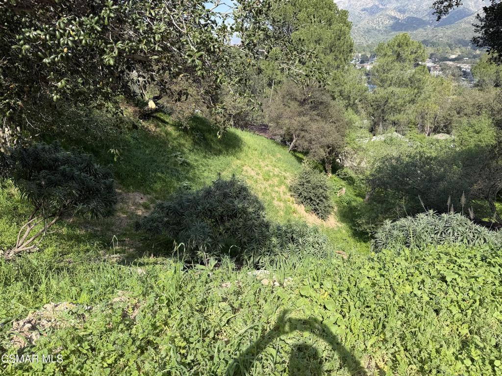Flora Morgan Trail Property Photo 1