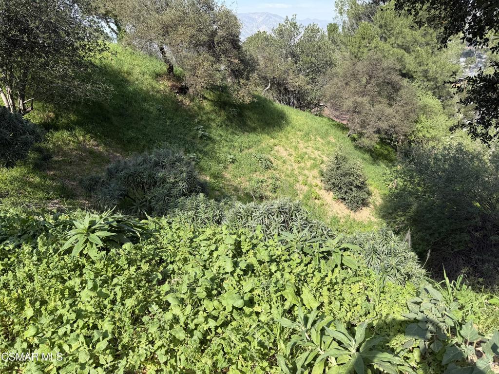 Flora Morgan Trail Property Photo 2