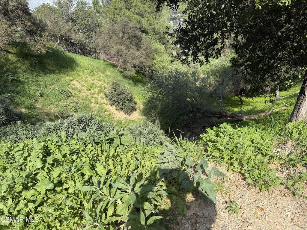 Flora Morgan Trail Property Photo 3
