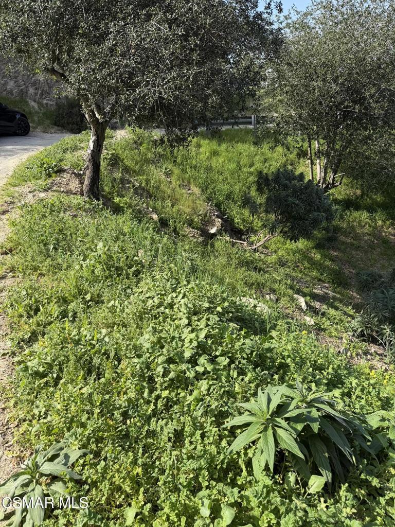 Flora Morgan Trail Property Photo 4