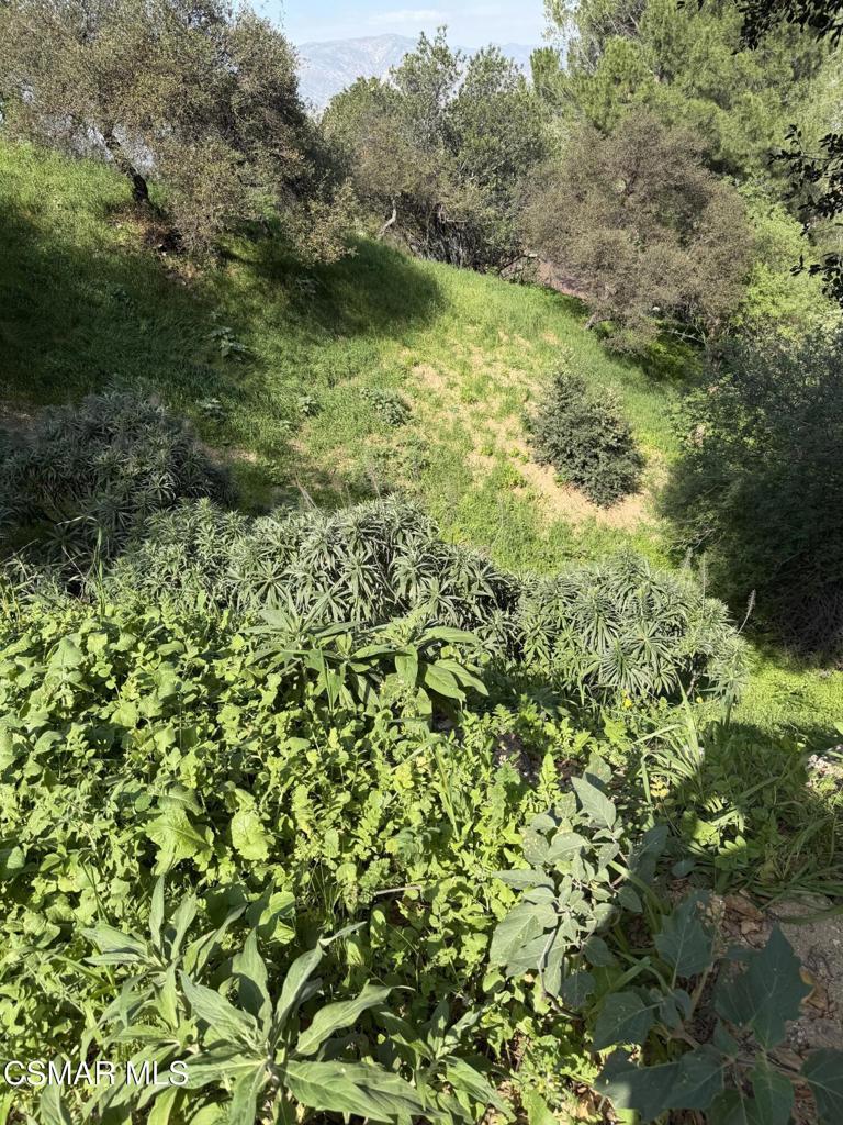 Flora Morgan Trail Property Photo 6