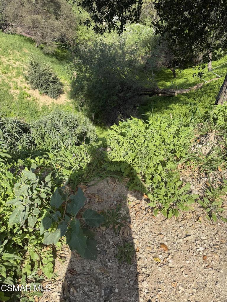 Flora Morgan Trail Property Photo 7