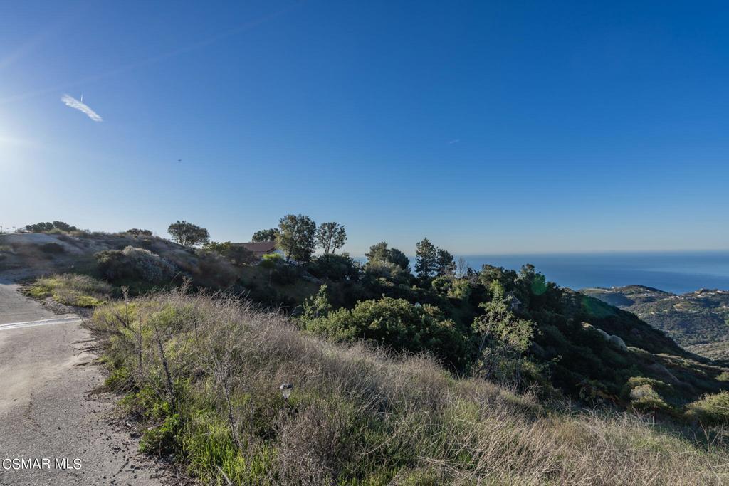 23118 Saddle Peak Road Property Photo 24