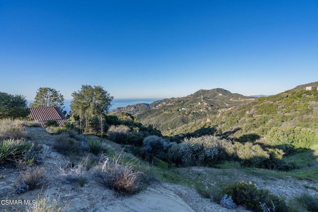 23118 Saddle Peak Road Property Photo 25