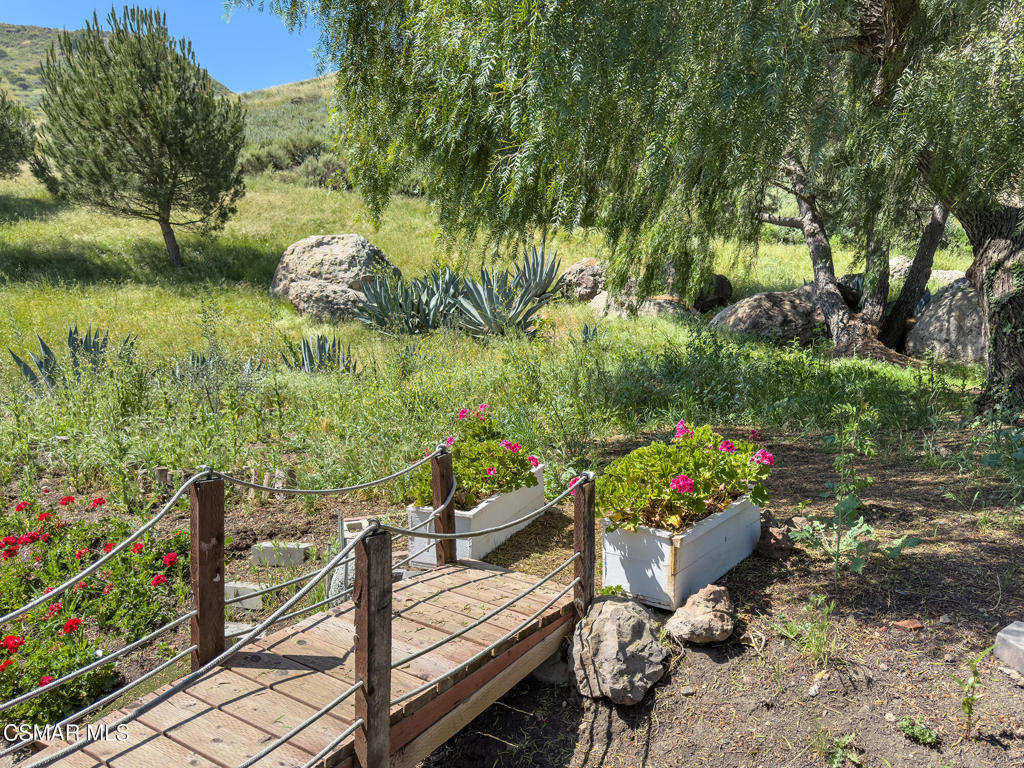 295 El Cielo Property Photo 35