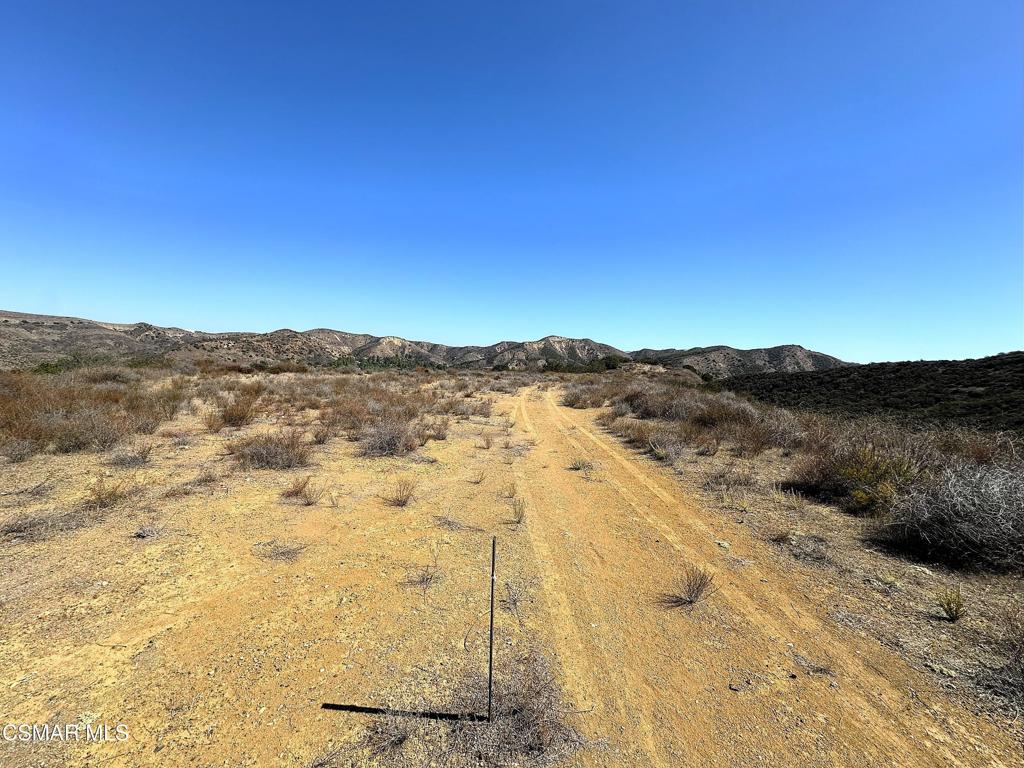 29266 Wagon Road Property Photo 7