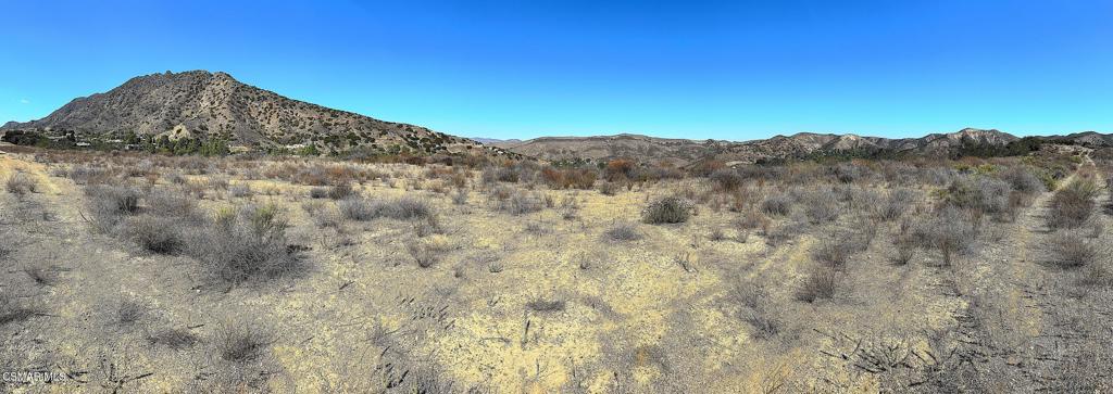 29266 Wagon Road Property Photo 8