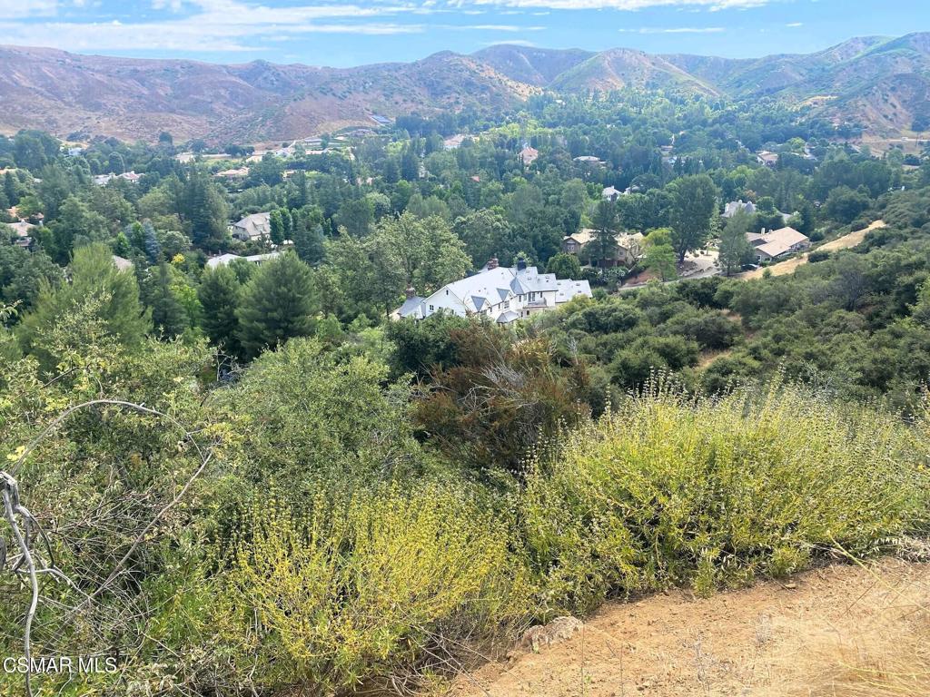 29266 Wagon Road Property Photo 10