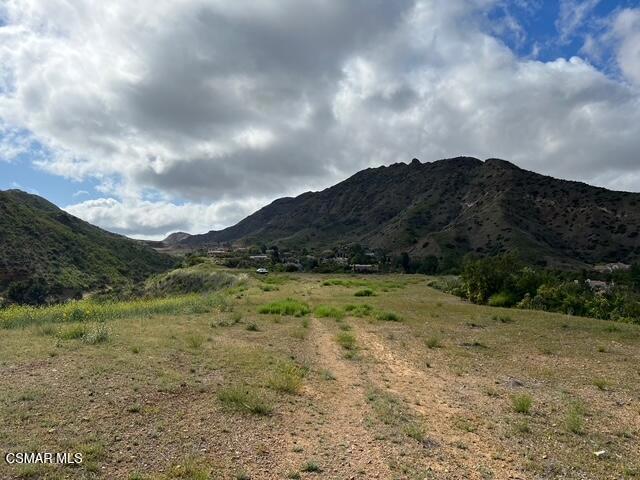 29266 Wagon Road Property Photo 12