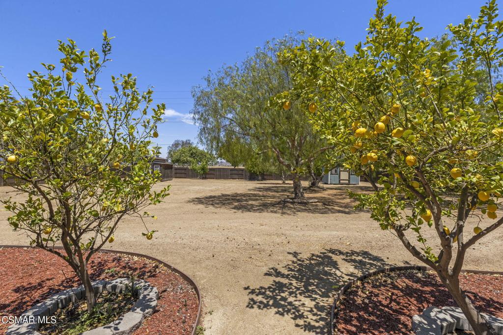 28450 Capano Bay Court Property Photo 49