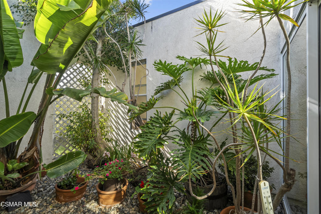 28815 Pacific Coast Highway Property Photo 20
