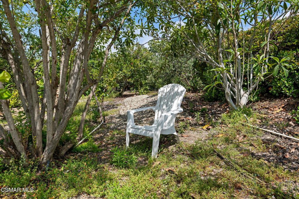 6795 Aviano Drive Property Photo 37