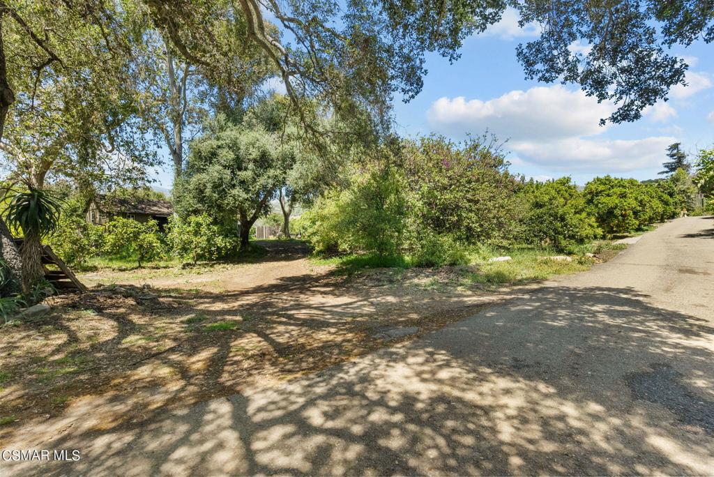5682 Pine Grove Road Property Photo 13