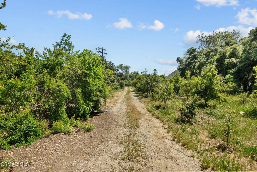 5682 Pine Grove Road Property Photo 32