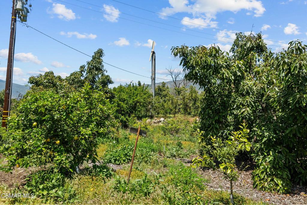 5682 Pine Grove Road Property Photo 33