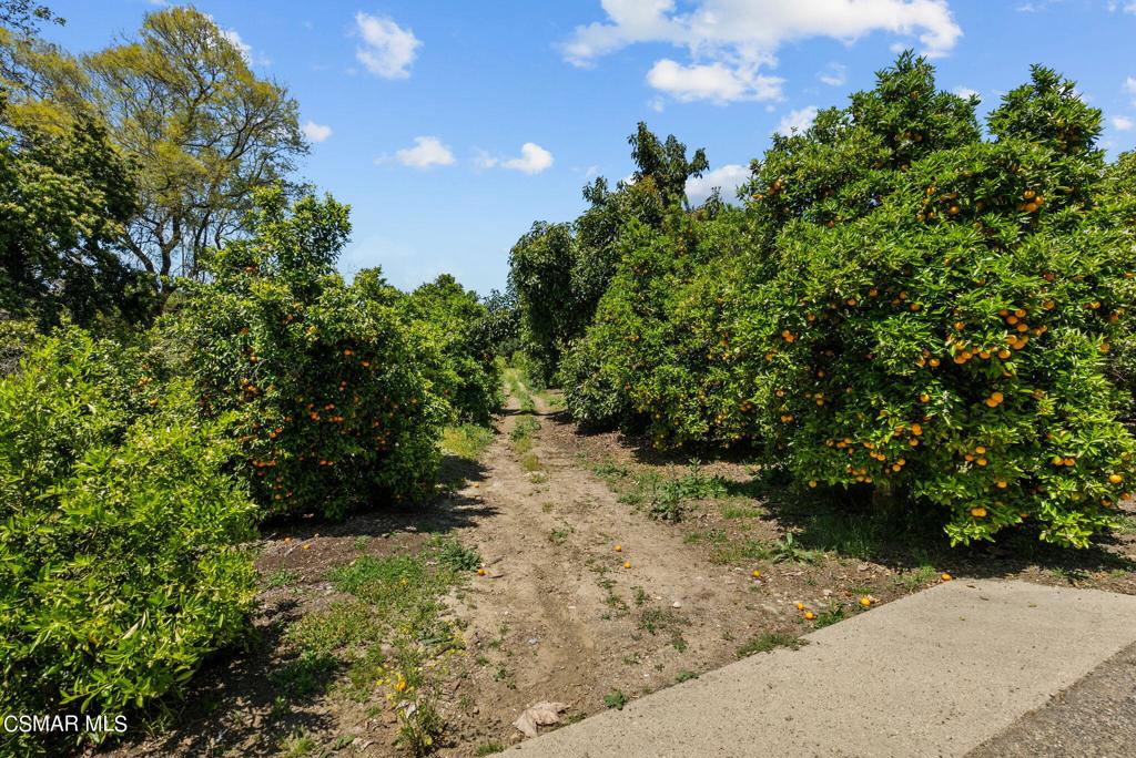 5682 Pine Grove Road Property Photo 34