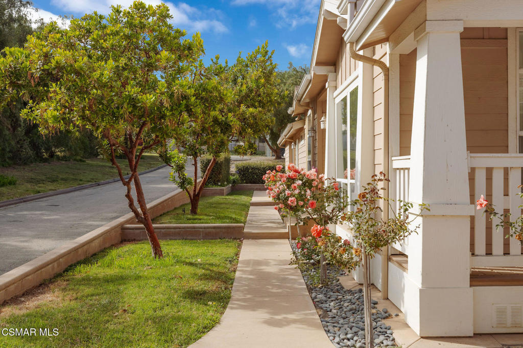 4790 Sand Canyon Road Property Photo 6