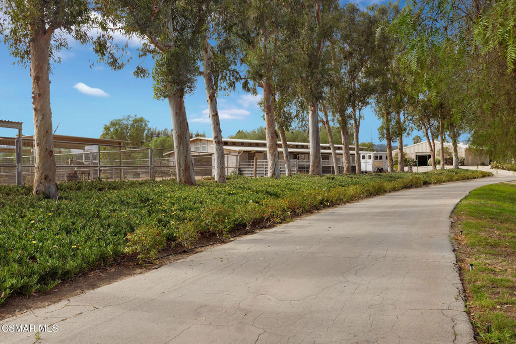 4790 Sand Canyon Road Property Photo 26