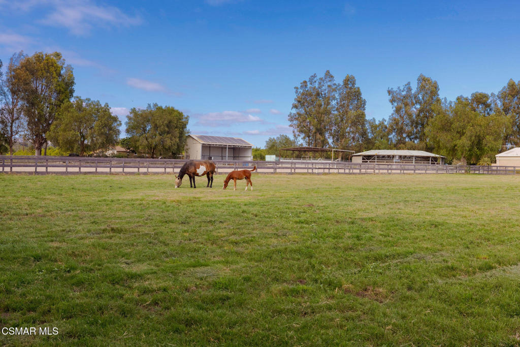 4790 Sand Canyon Road Property Photo 57