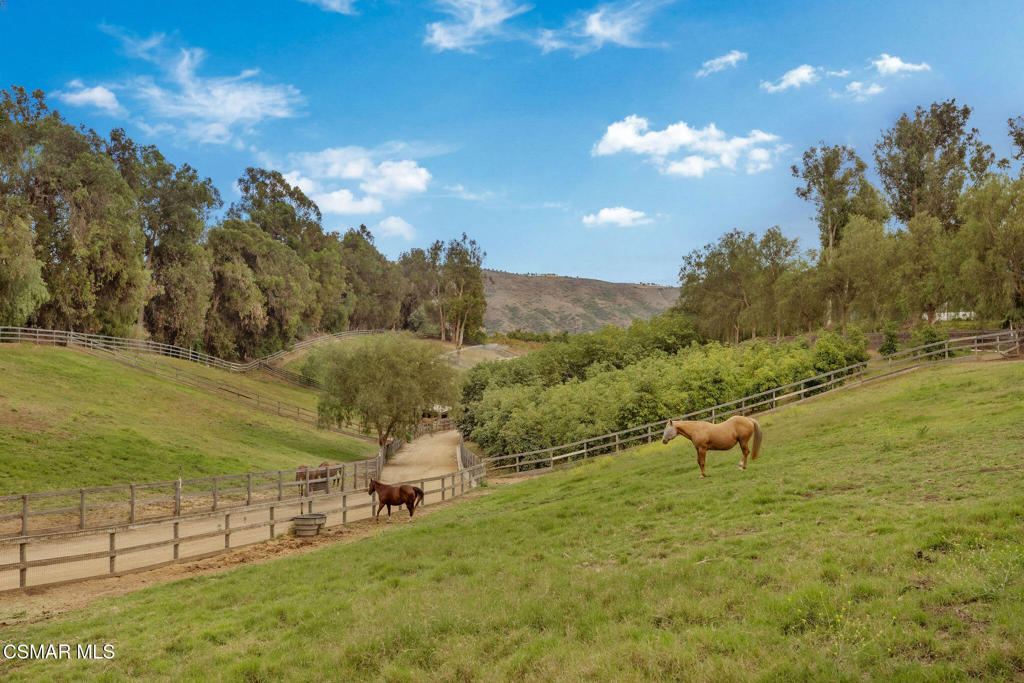 4790 Sand Canyon Road Property Photo 78