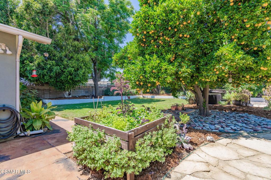 4481 Bidwell Street Property Photo 69