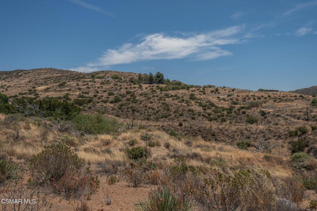 Big Springs Road Road Property Photo 18