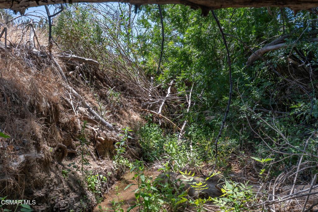 Big Springs Road Road Property Photo 22