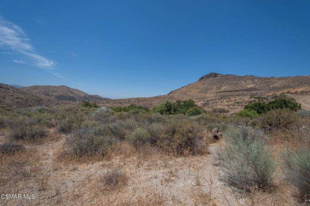 Big Springs Road Road Property Photo 33