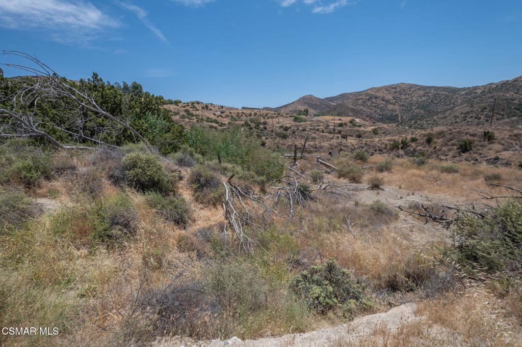 Big Springs Road Road Property Photo 36