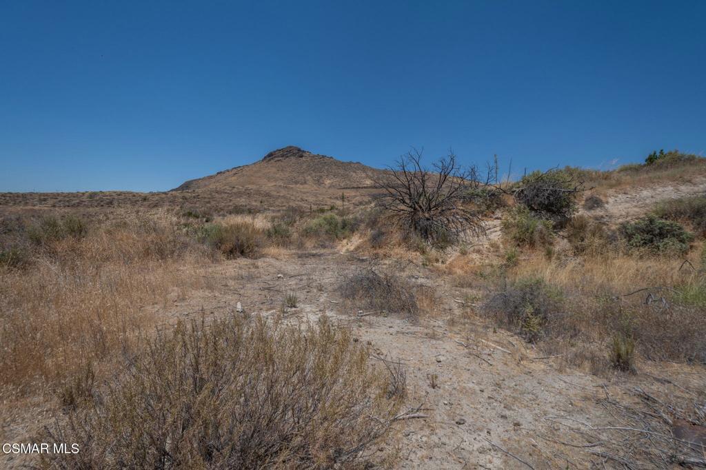 Big Springs Road Road Property Photo 37