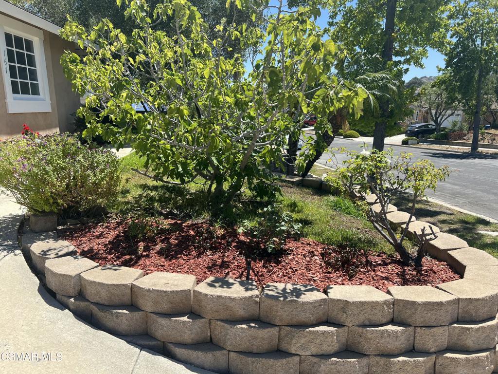 167 Walter Avenue Property Photo 3