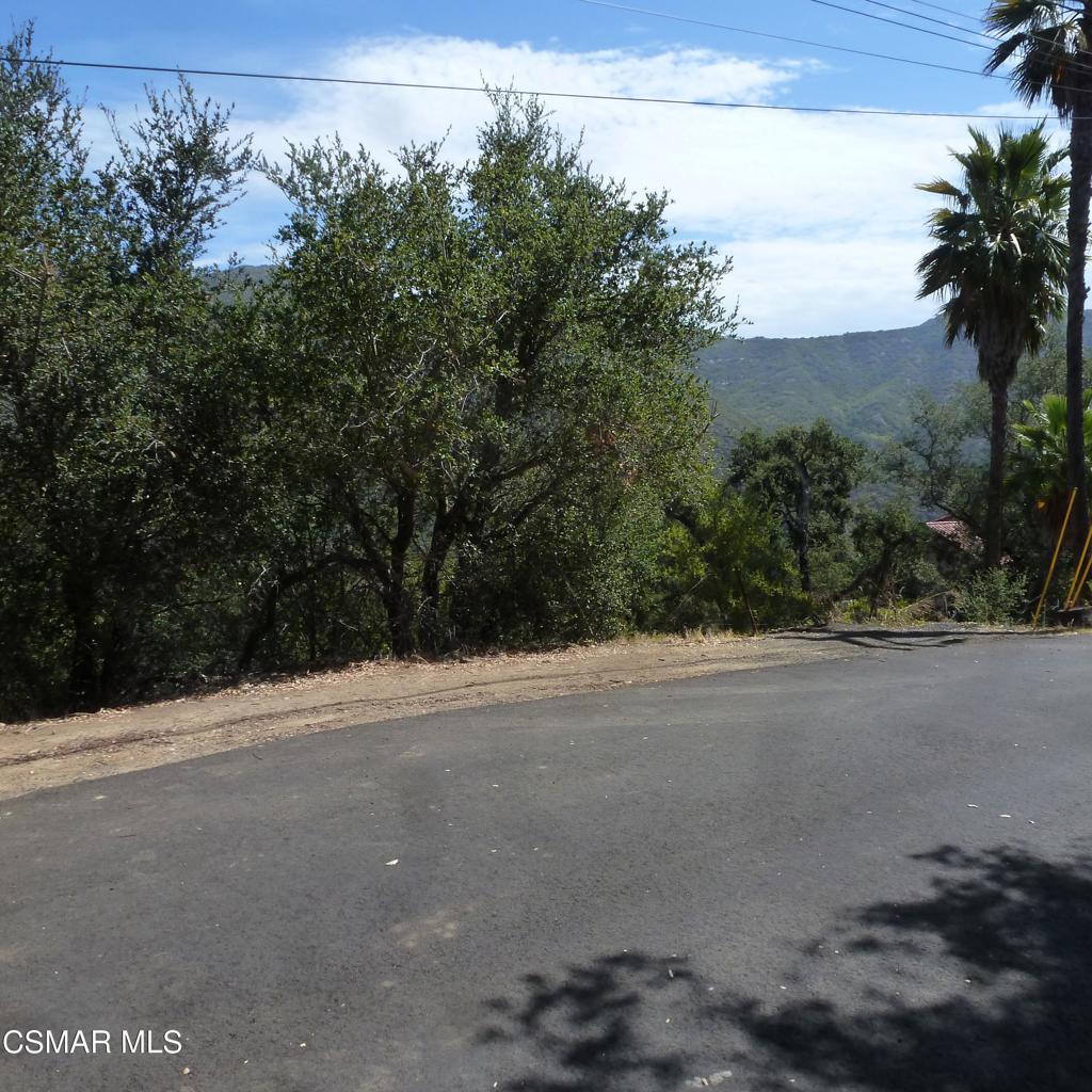 26241 Idlewild Way Property Photo 1