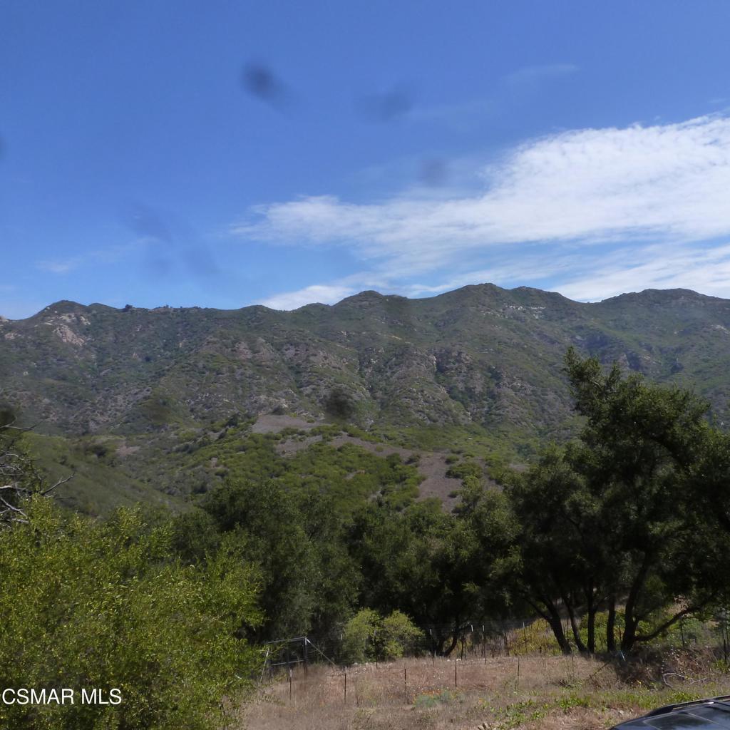 26241 Idlewild Way Property Photo 4