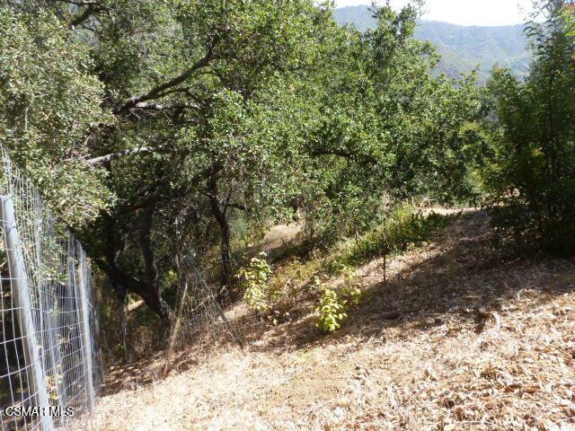 26241 Idlewild Way Property Photo 5