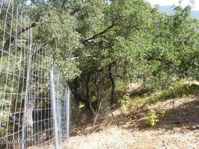 26241 Idlewild Way Property Photo 6