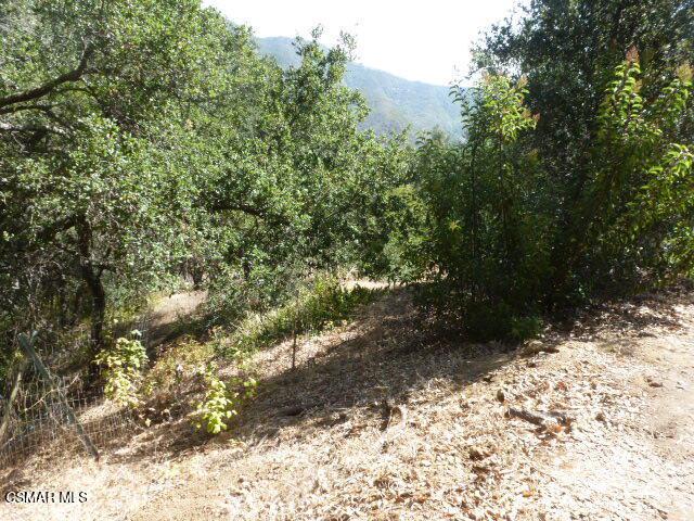 26241 Idlewild Way Property Photo 7