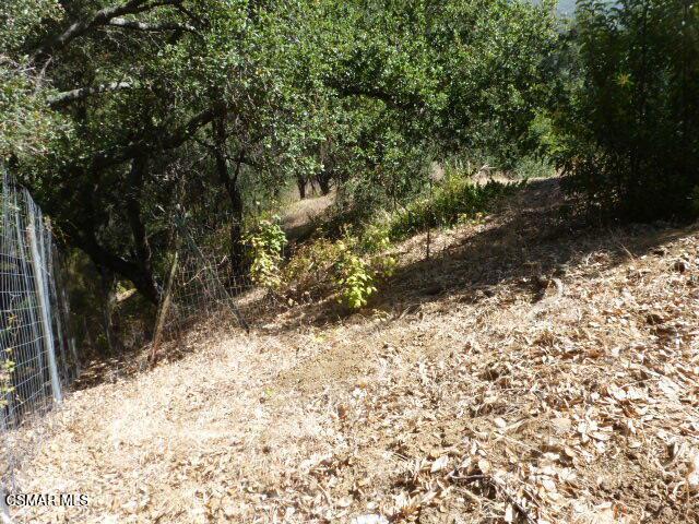 26241 Idlewild Way Property Photo 8