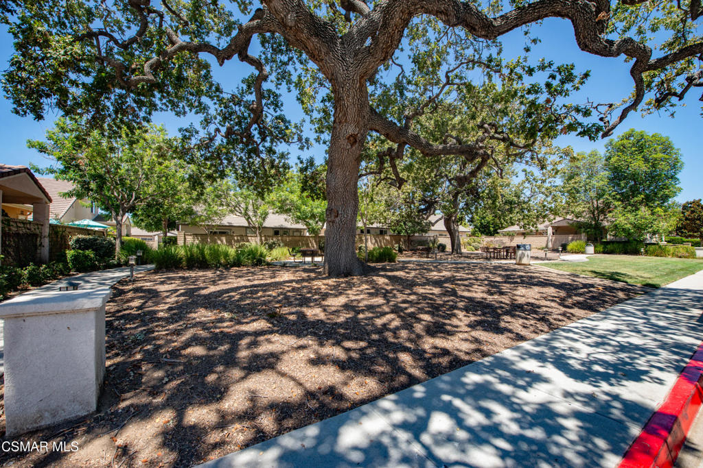 2040 Freesia Avenue Property Photo 34