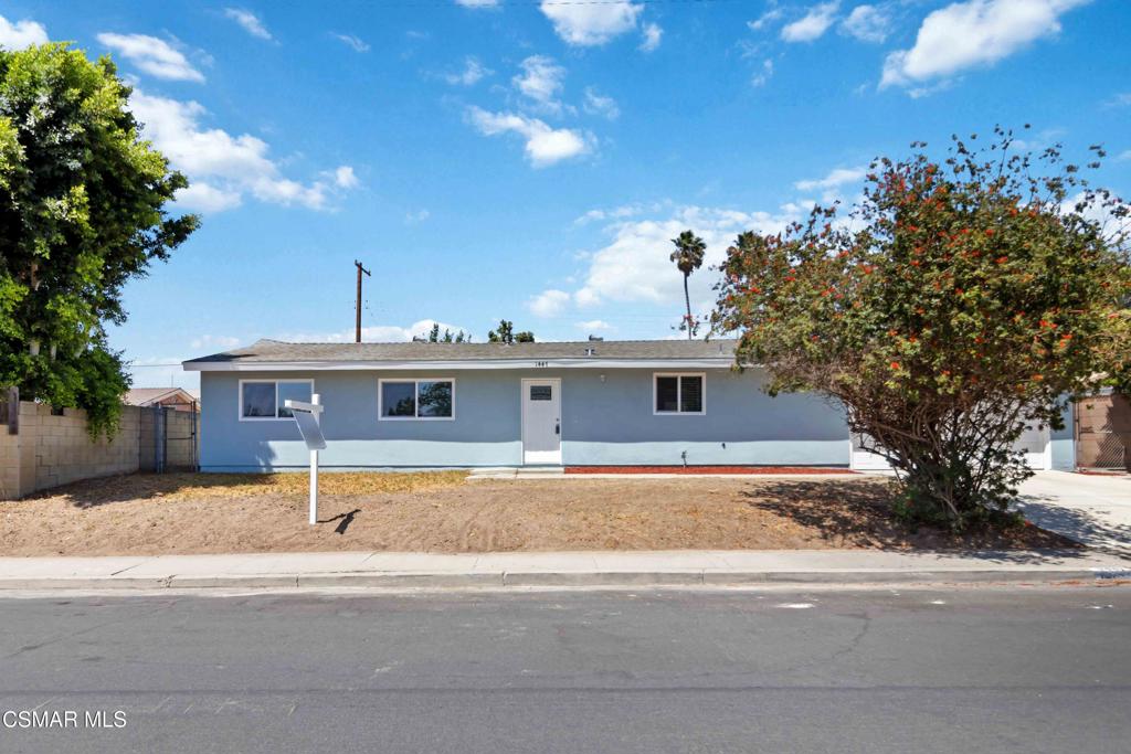 1447 Alexander Street Property Photo 4