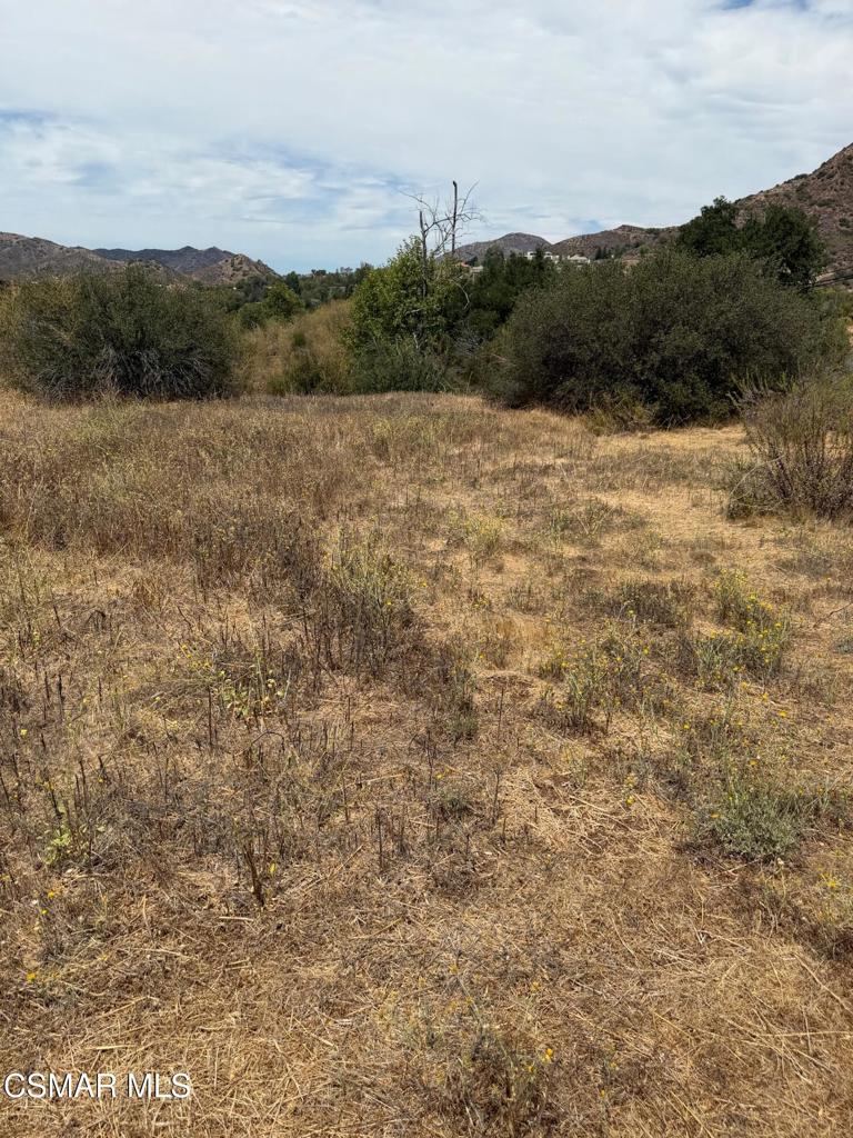 29510 Mulholland Highway Property Photo 1