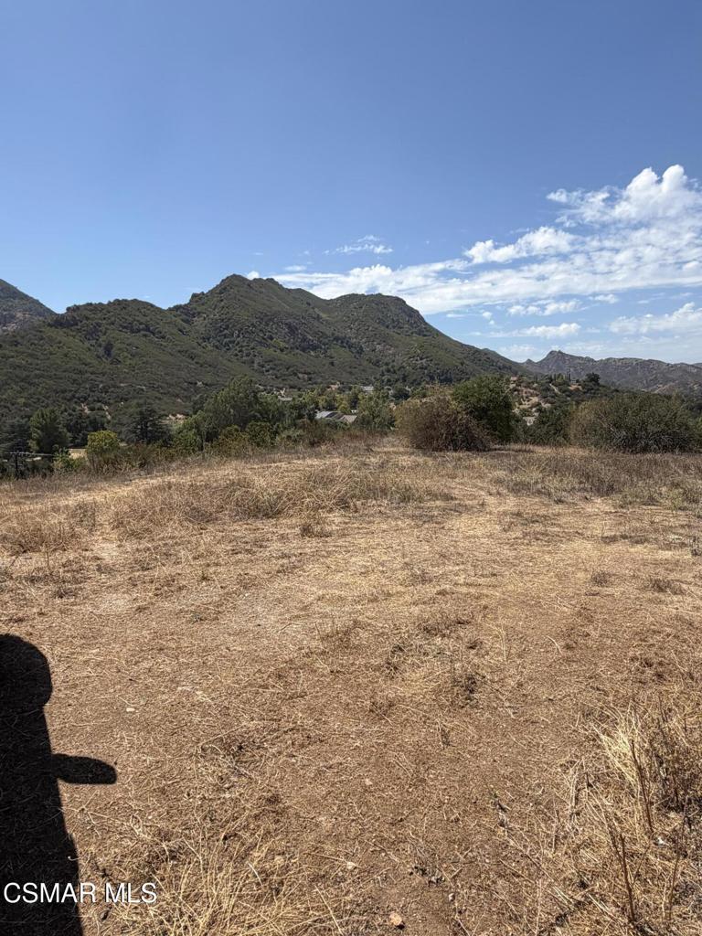 29510 Mulholland Highway Property Photo 3