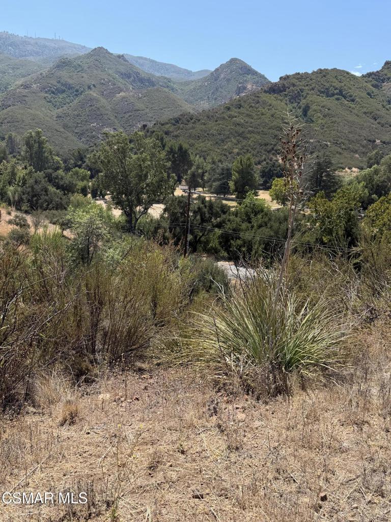 29510 Mulholland Highway Property Photo 4