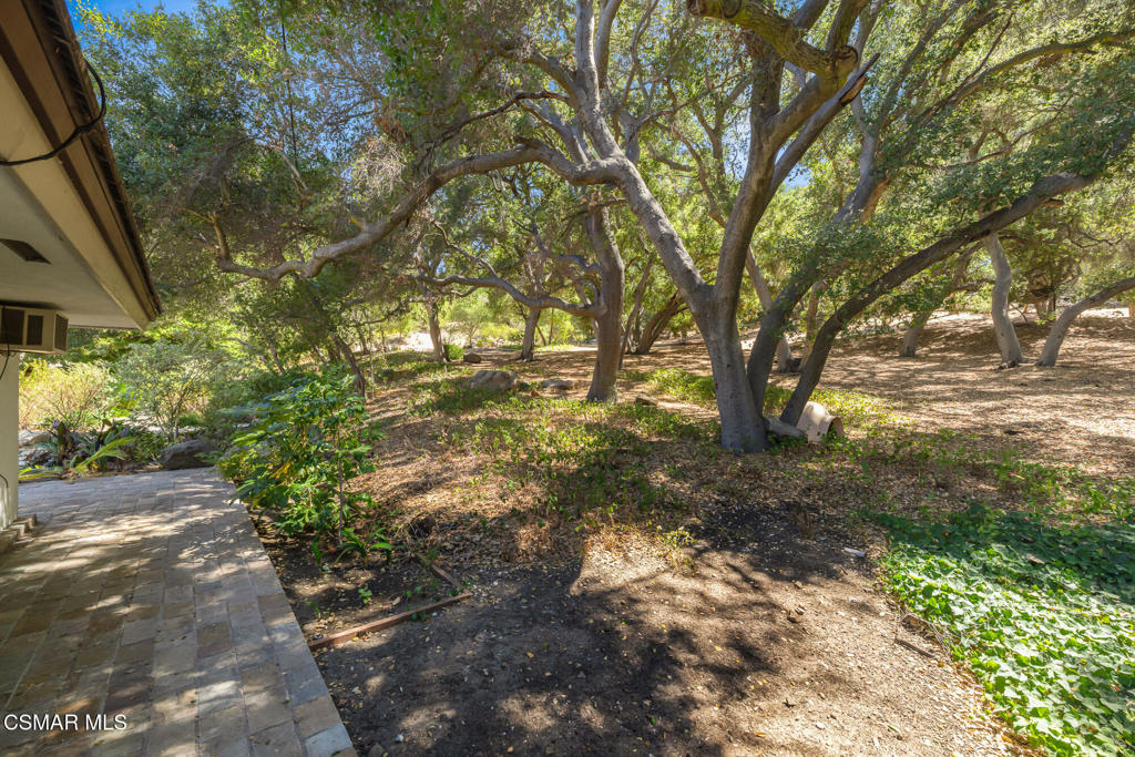 25820 Piuma Road Property Photo 39